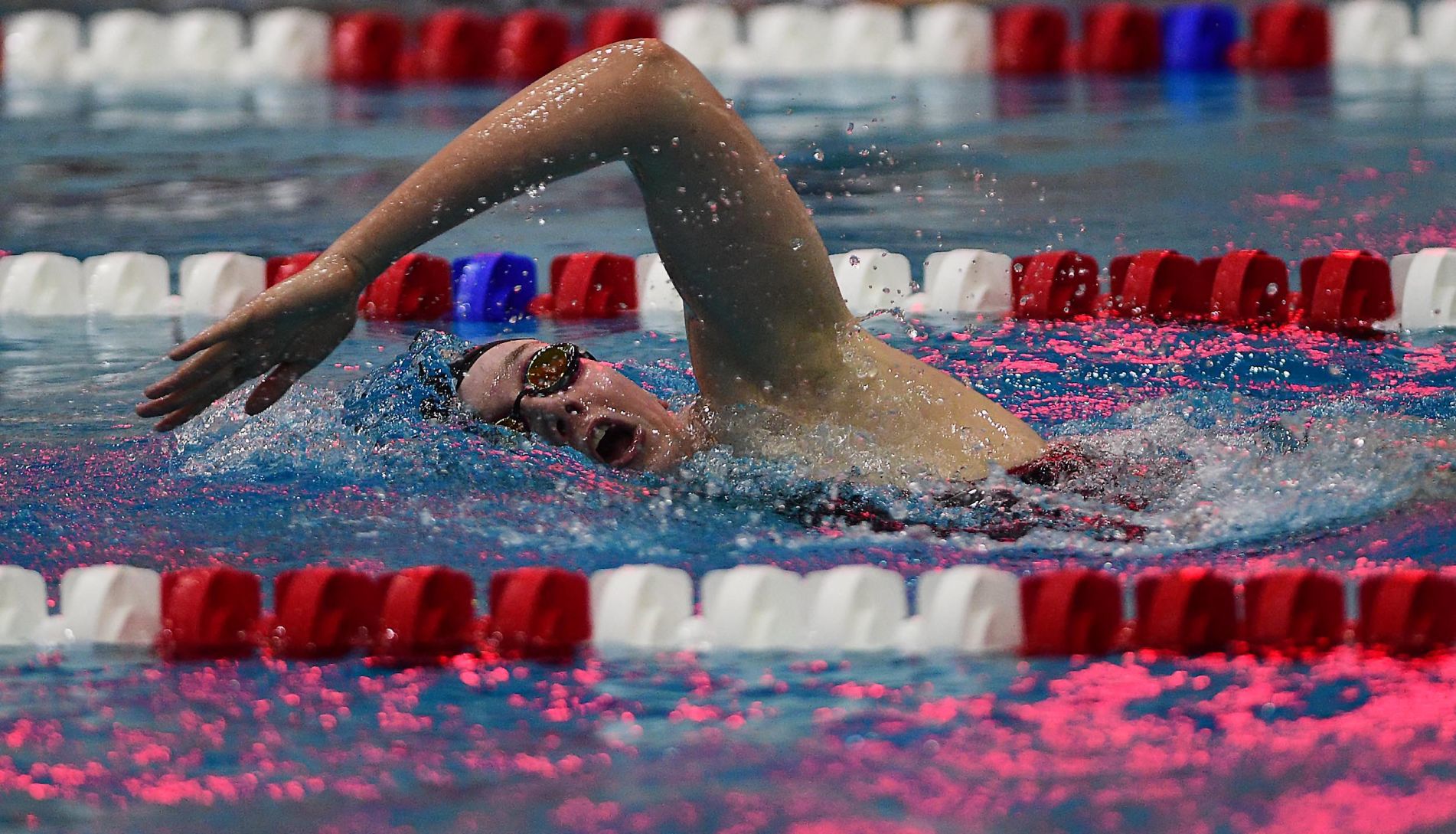 CV Carlisle Swimming